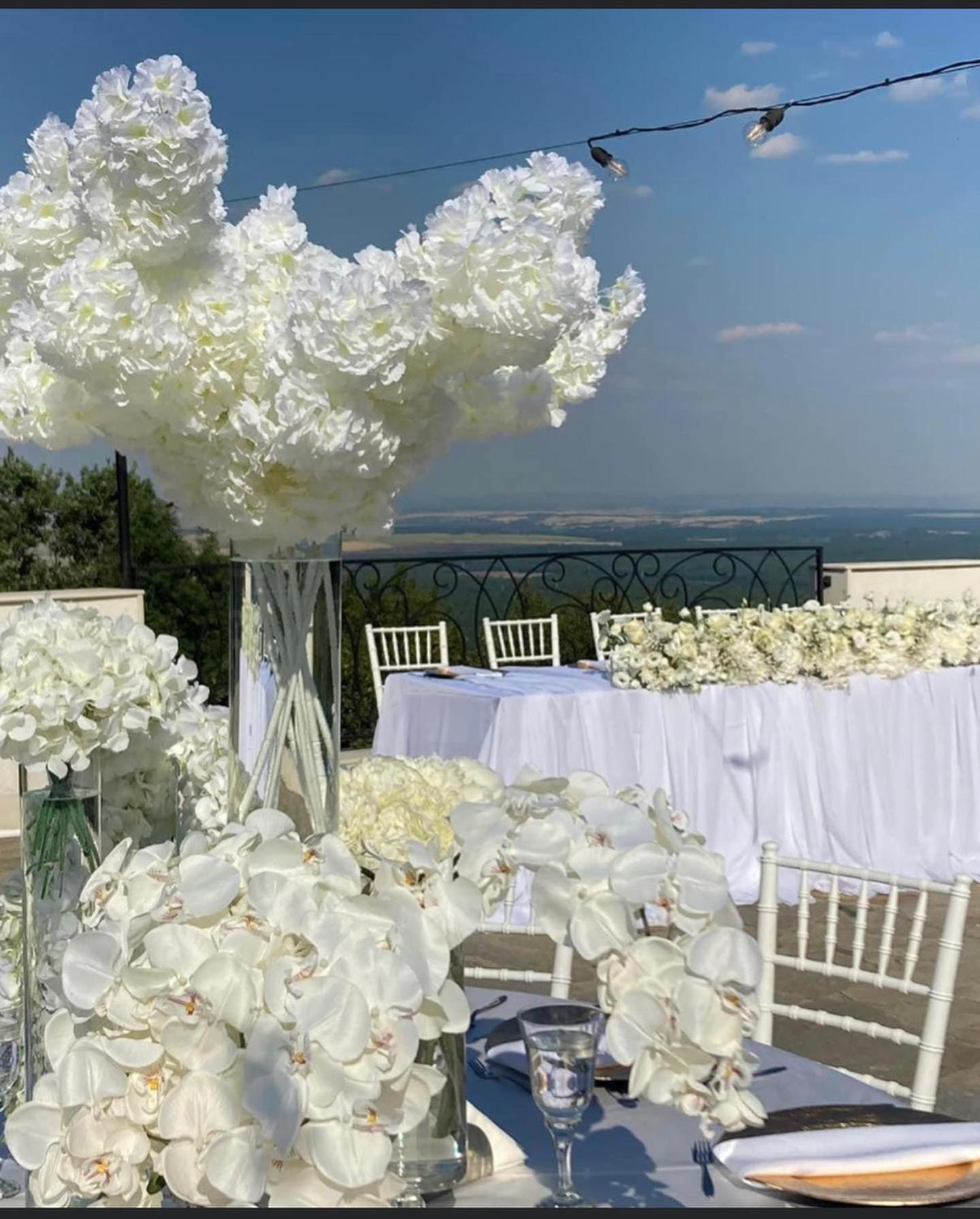 Bryastovo  Вила Белисима, Villa Bellissima מראה חיצוני תמונה